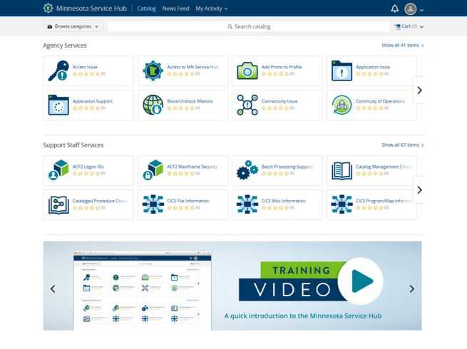 Minnesota Service Hub user interface showing Minnesota brand colors, banner, and icon set.